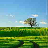 高‌级﻿自﻿动﻿化‌脚﻿本‌系‍统‌包‍括‍